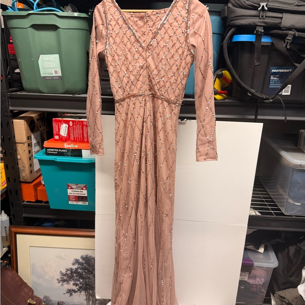 Adrianna Papell Rose Blush Beaded Long Sleeve Evening Gown